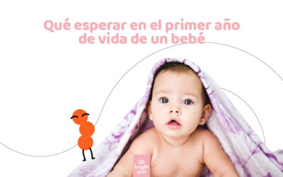 Qué esperar en el primer año de vida de un bebé